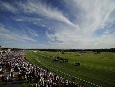 The Grand National Trial is run at Haydock